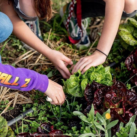 Agreement Setting | The Edible Schoolyard Project